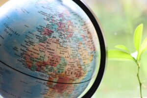 africa, growth, development, plant, light, boom, business, stock exchange, globe, map of the world, world map, world, continent, earth, geography, map, europe, nature, world market